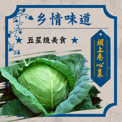 坝上卷心菜