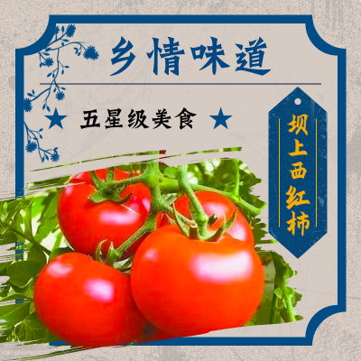坝上西红柿
