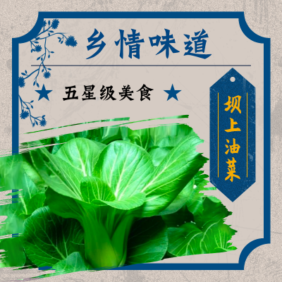 坝上油菜